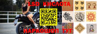 шишки Жуковский