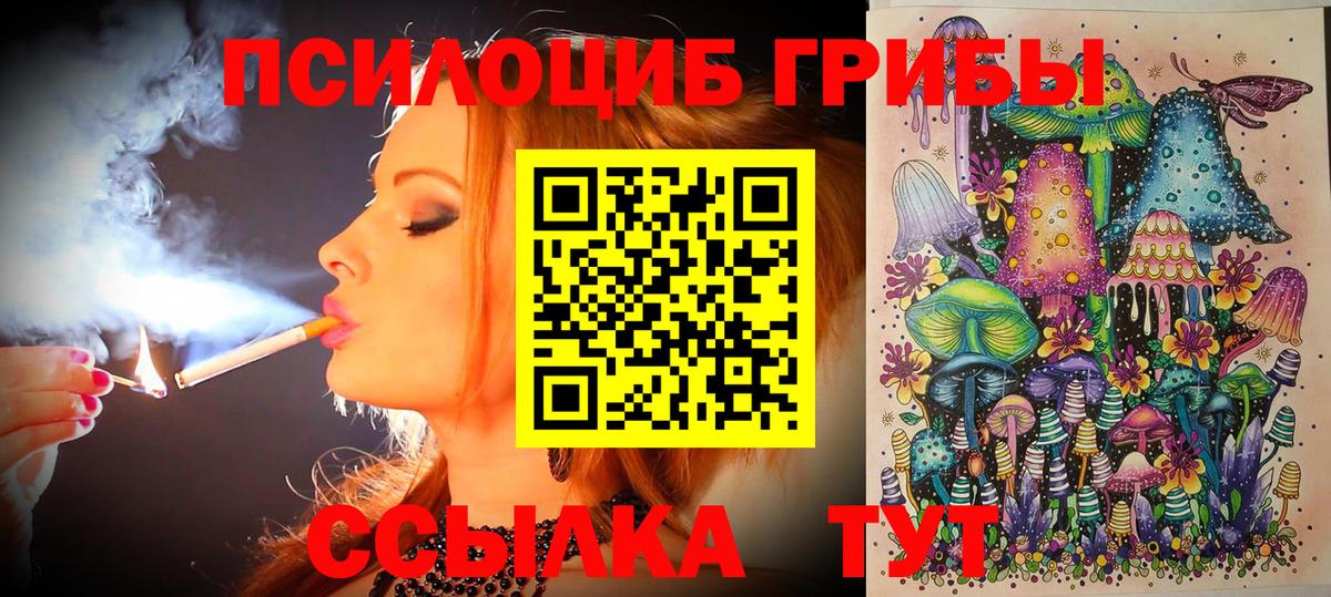 Галлюциногенные грибы Cubensis Коркино