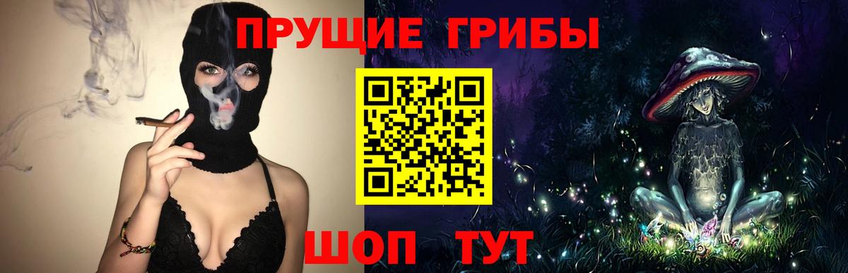 Псилоцибиновые грибы MAGIC MUSHROOMS  где купить наркоту  Коркино  Вход с VPN 